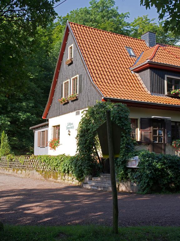Saengerwiese Eisenach Rum bild