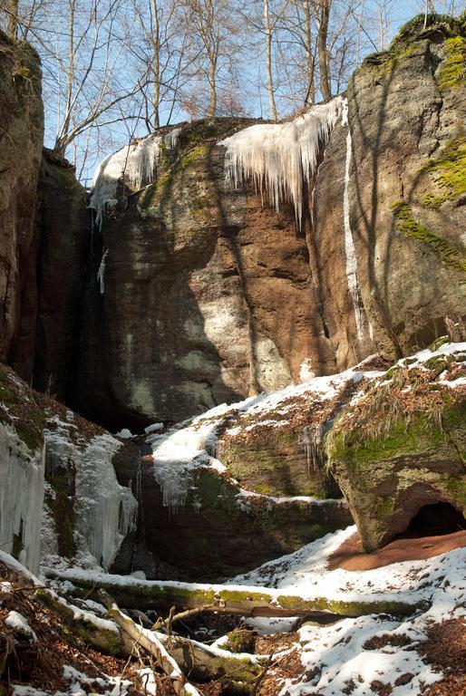 Saengerwiese Eisenach Exteriör bild