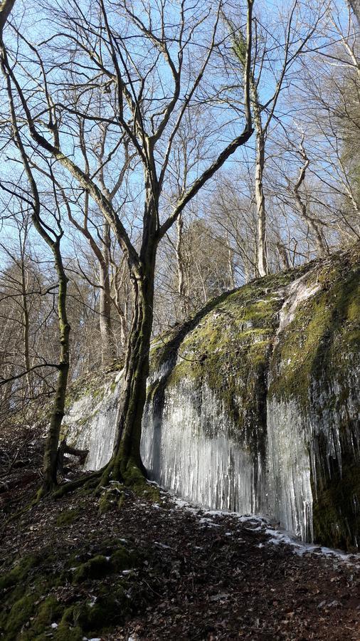 Saengerwiese Eisenach Exteriör bild