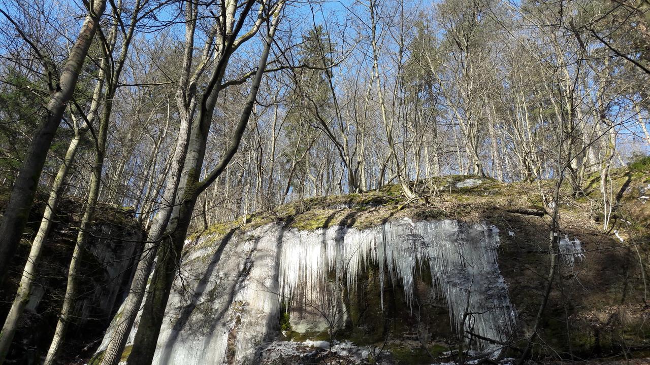 Saengerwiese Eisenach Exteriör bild