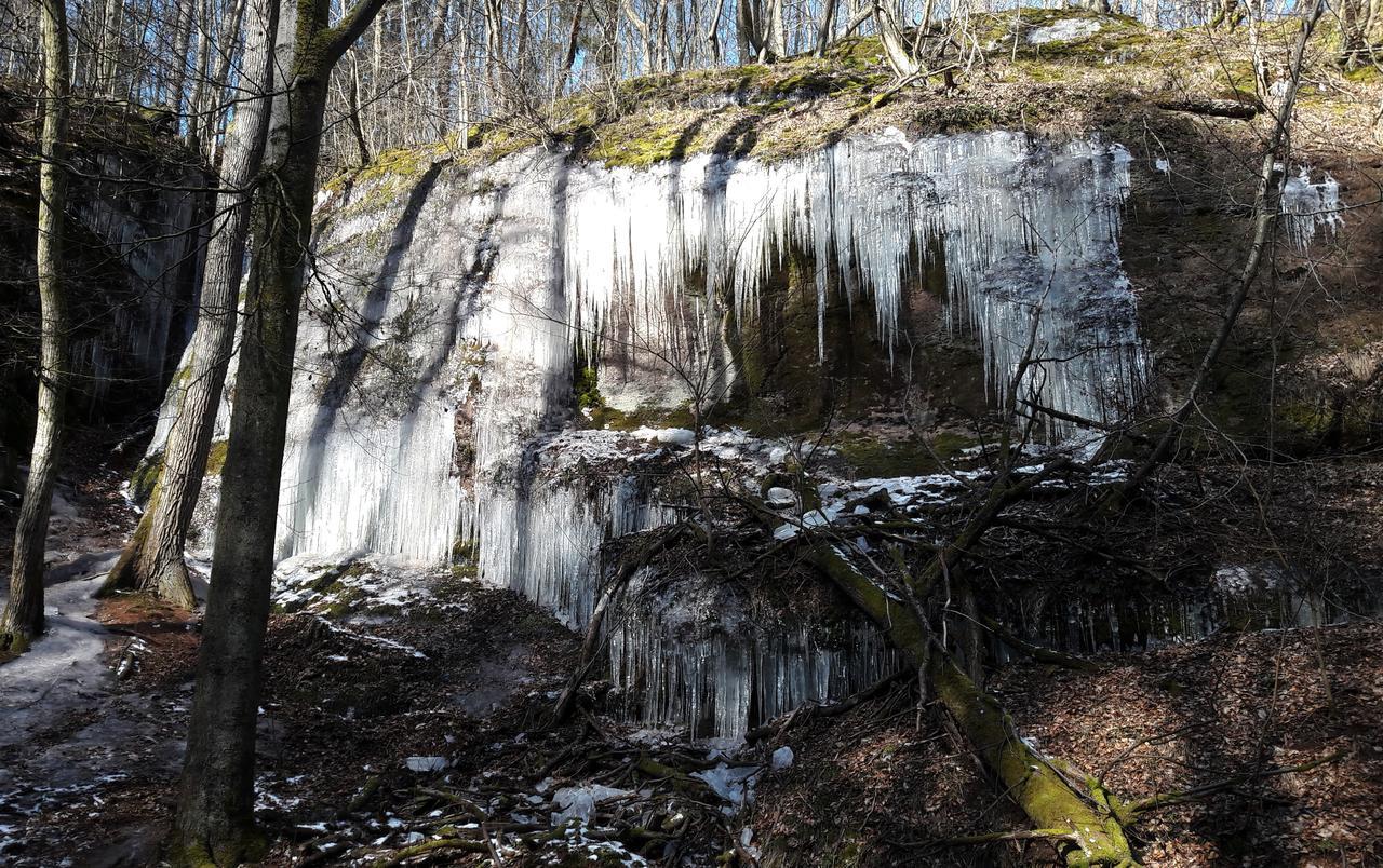 Saengerwiese Eisenach Exteriör bild